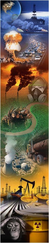 Le 20 décembre 2006, un travail bénévole de Sophie Miranda.