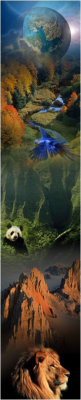 Sophie Miranda, le 31 janvier 2007