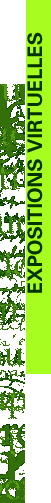 EXPOSITIONS VIRTUELLES