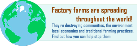 Factory Farm Invasion!