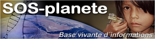 Le 19 septembre 2006 : Un travail bénévole de Sophie Miranda que nous remercions vivement.